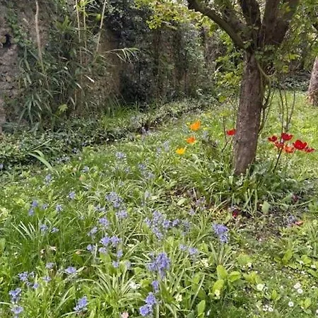 Le Jardin De Stella - 8 Personnes - Jardin *
